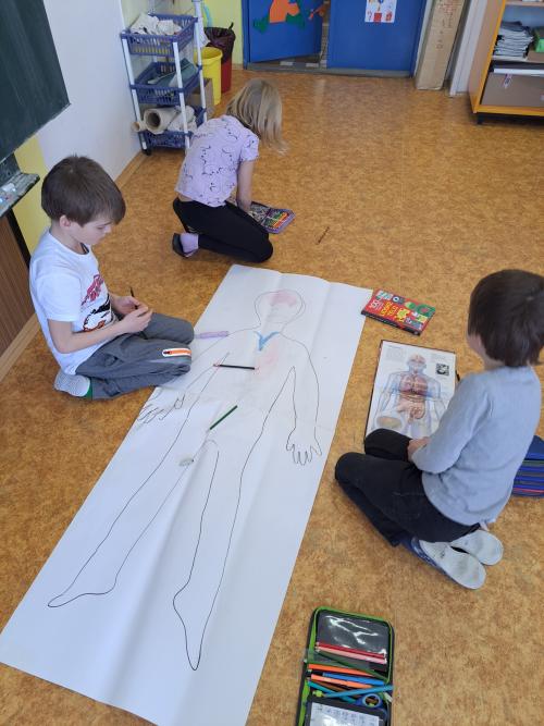 Lidské tělo - společná práce žáků II. A